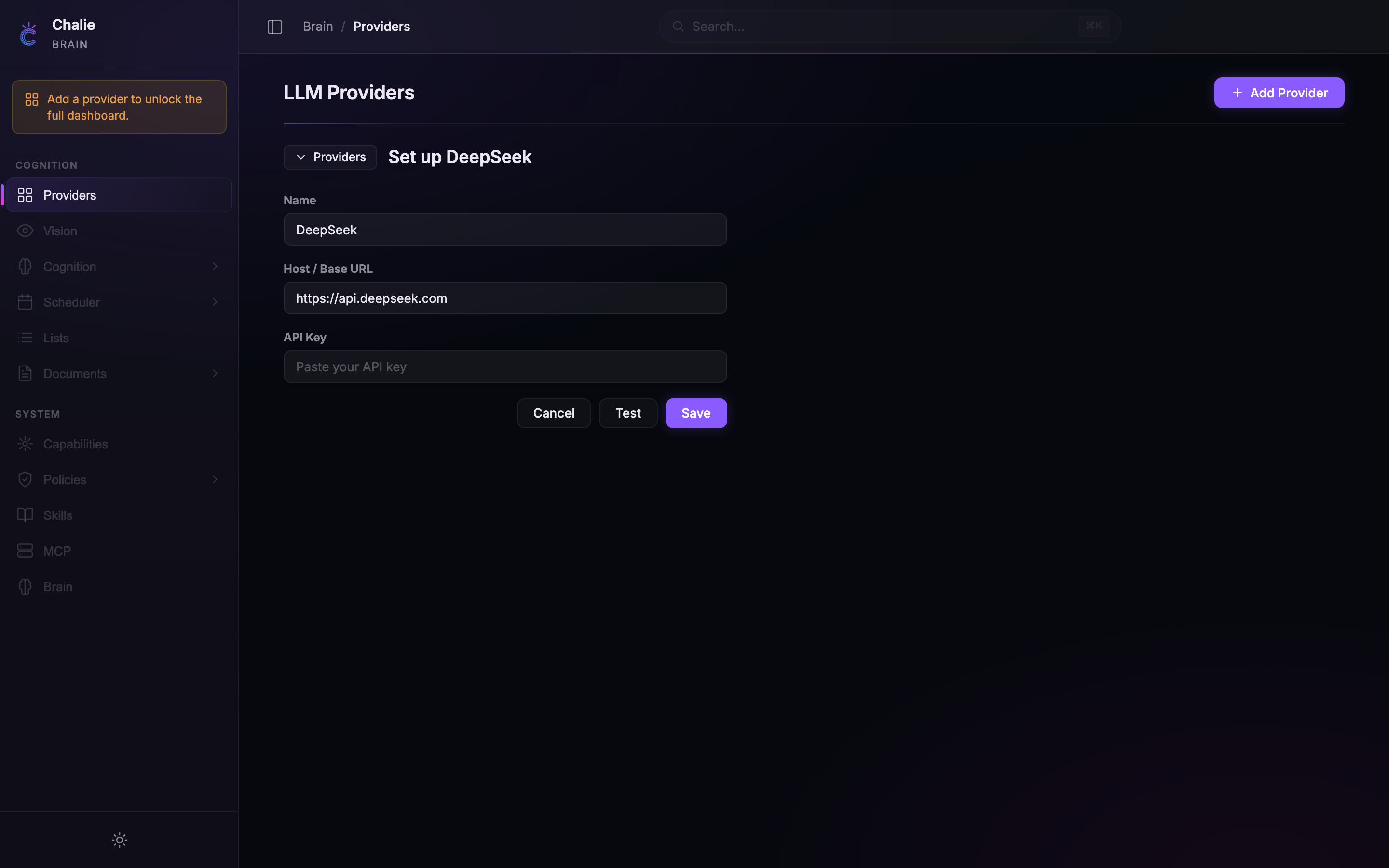 Setting up DeepSeek — the host is pre-filled automatically and an API Key field appears because this provider needs one.